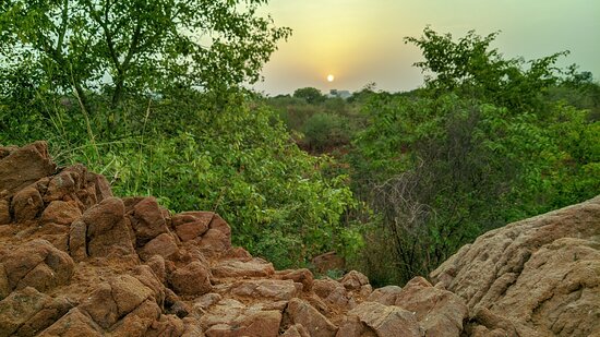 Aravalli Biodiversity Park